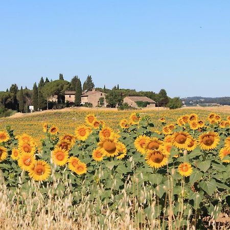 Il Poggio B&B Ginestra Fiorentina Eksteriør bilde